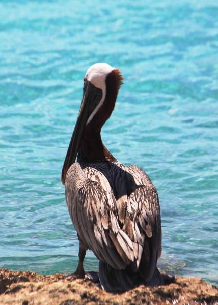 Curacao (2)
