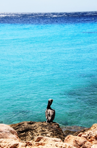 Curacao (4)