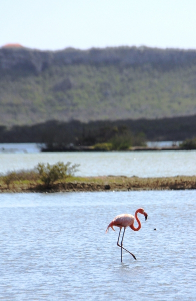 Curacao (54)