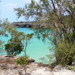 Curacao (23)