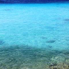 Curacao (26)