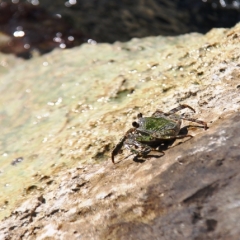 Curacao (47)