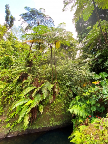 Dominica-105
