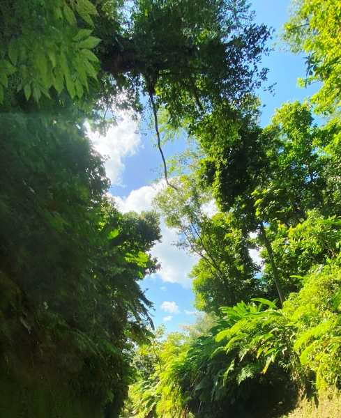 Dominica-107