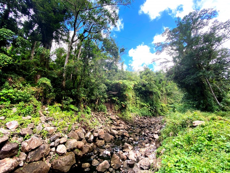 Dominica-108