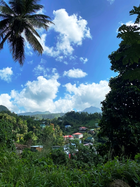 Dominica-109