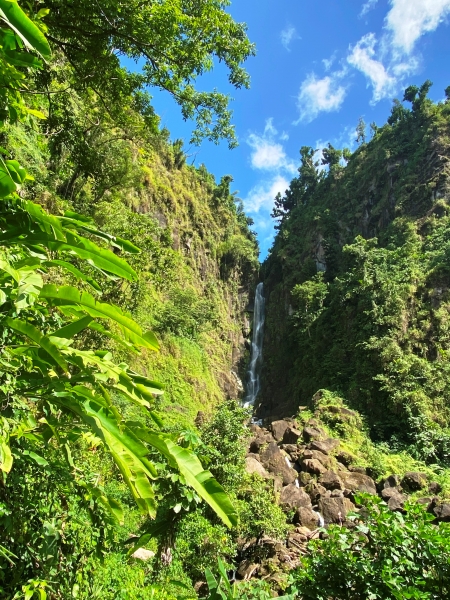 Dominica-111