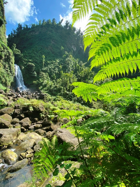 Dominica-18