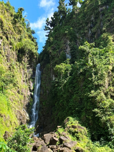 Dominica-36
