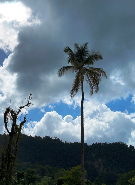 Dominica-38