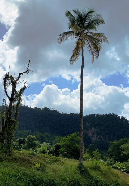 Dominica-39