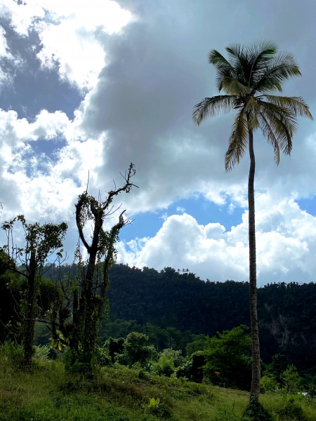 Dominica-40