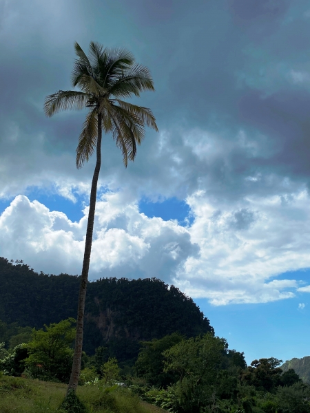 Dominica-41