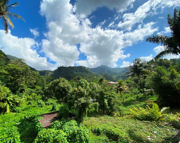 Dominica-45