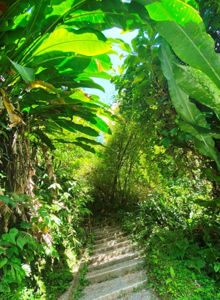 Dominica-46
