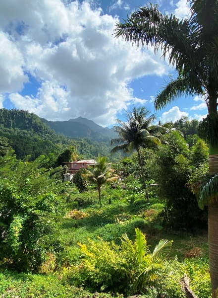 Dominica-48