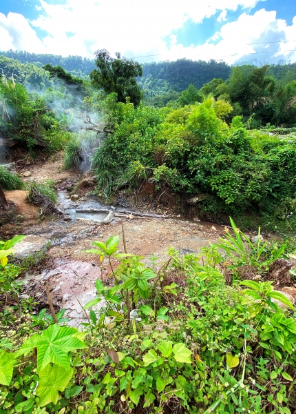Dominica-80