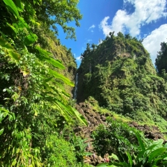Dominica-31