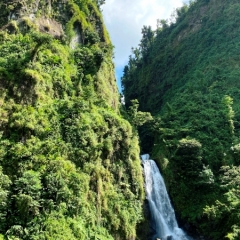Dominica-35