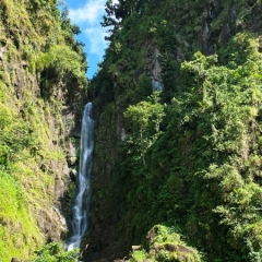 Dominica-36