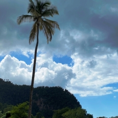 Dominica-41