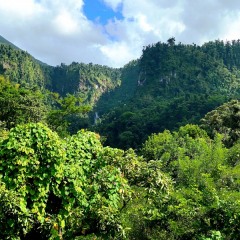 Dominica-44