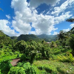 Dominica-45
