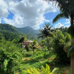 Dominica-48