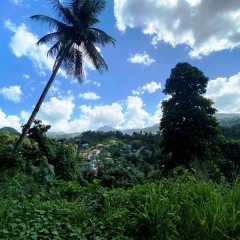 Dominica-50