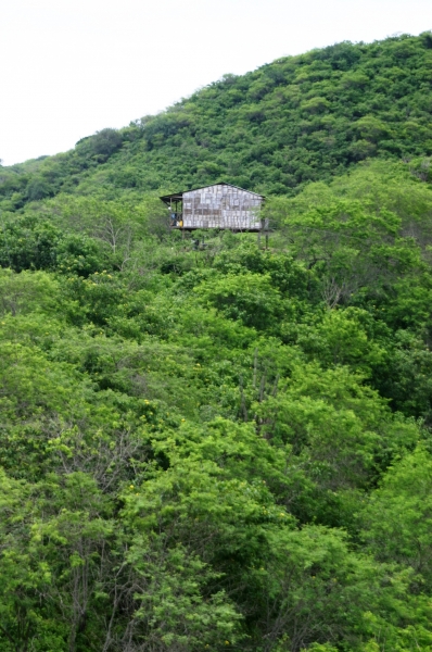 Ecuador (119)