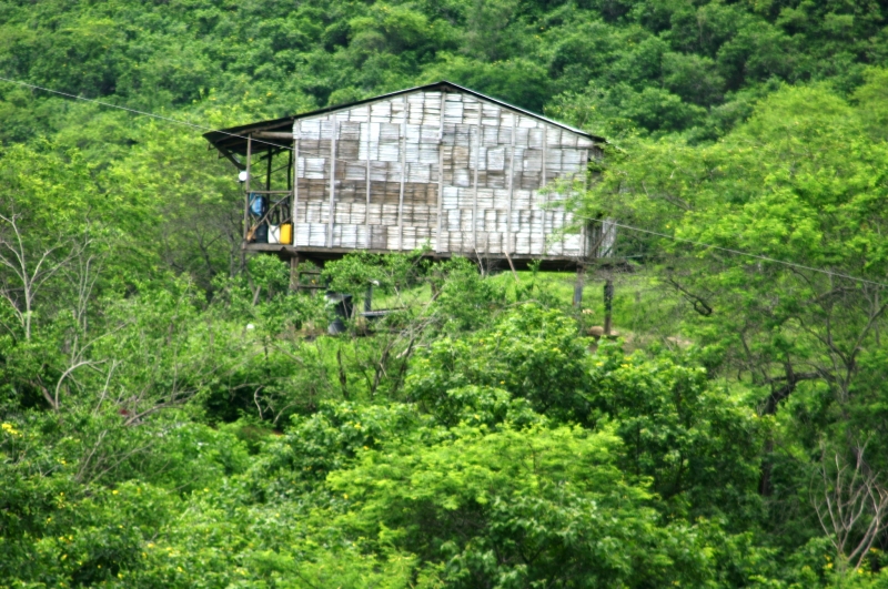 Ecuador (120)