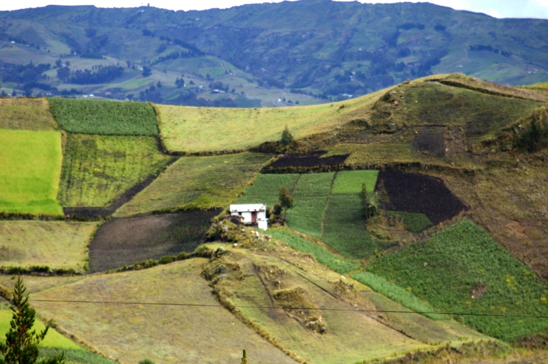 Ecuador (137)