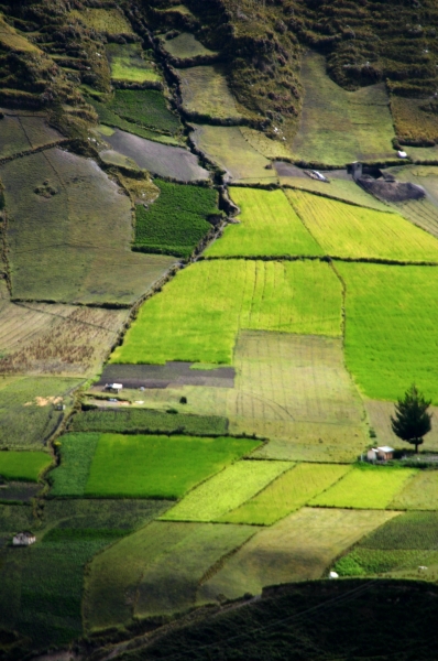 Ecuador (139)