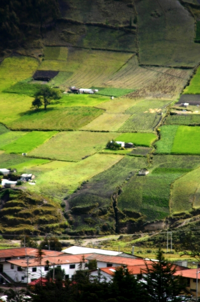 Ecuador (141)