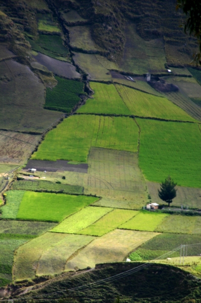 Ecuador (142)