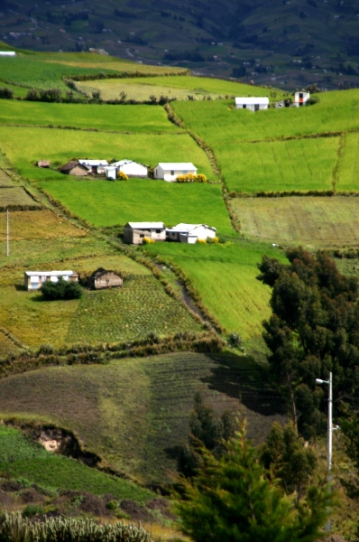 Ecuador (145)