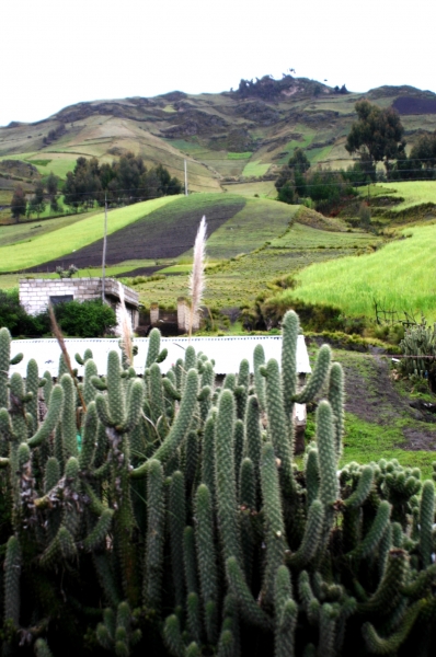 Ecuador (146)