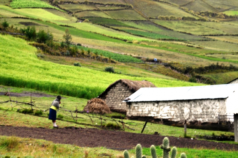 Ecuador (148)