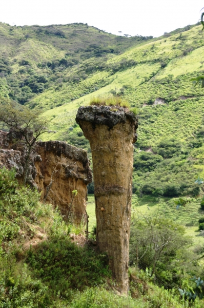 Ecuador (200)