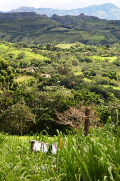 Ecuador (201)