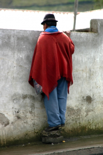 Ecuador (228)