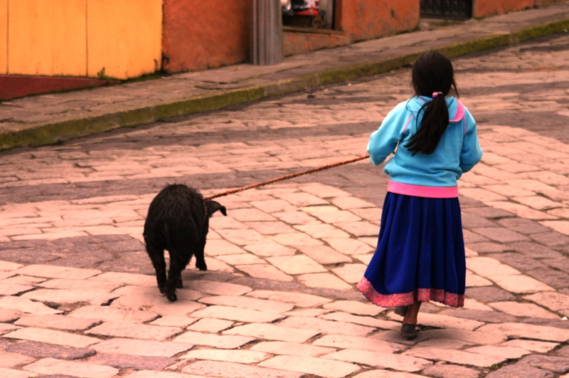 Ecuador (258)