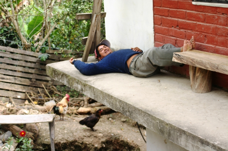 Ecuador (261)