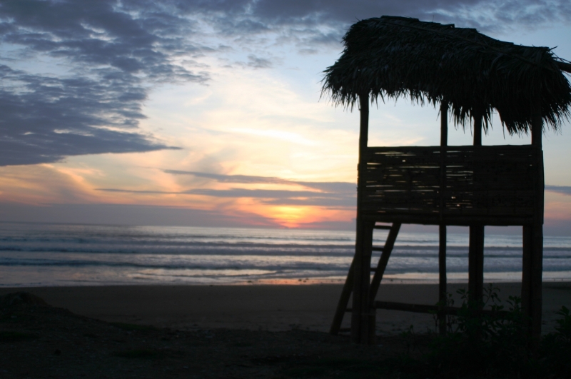 Ecuador (41)
