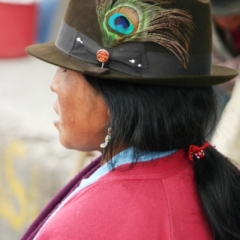 Ecuador (236)