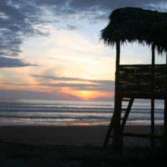Ecuador (41)
