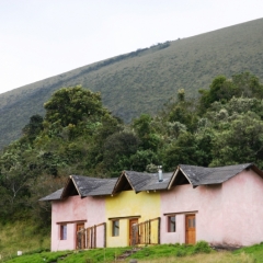 Ecuador (8)