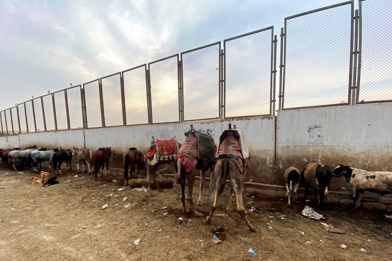 Egypte-425