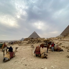 Egypte-375