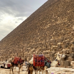 Egypte-377